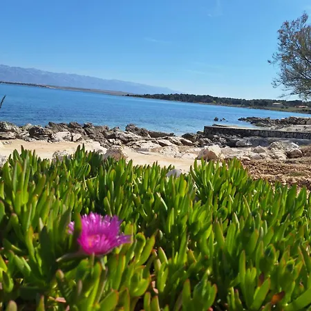 Amphora Apartmán Vir