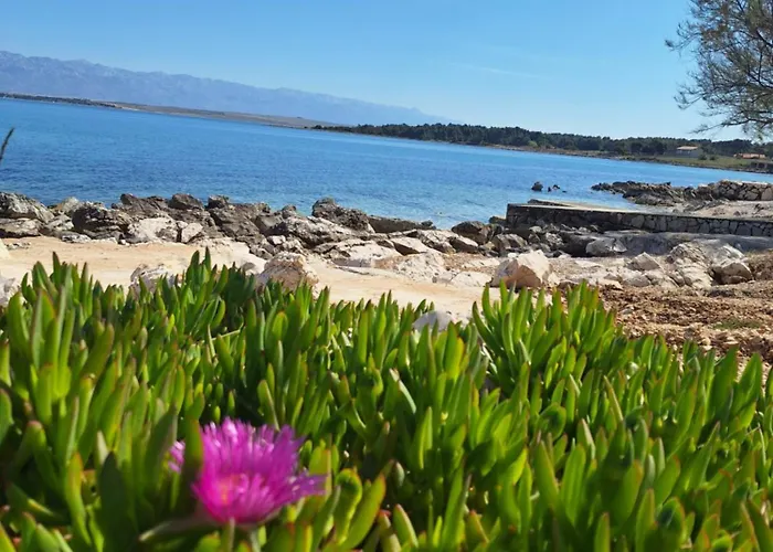 Amphora Lägenhet Vir